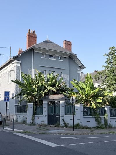 Rue du quartier Procé